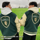 ヴェルブリッツスタジャン