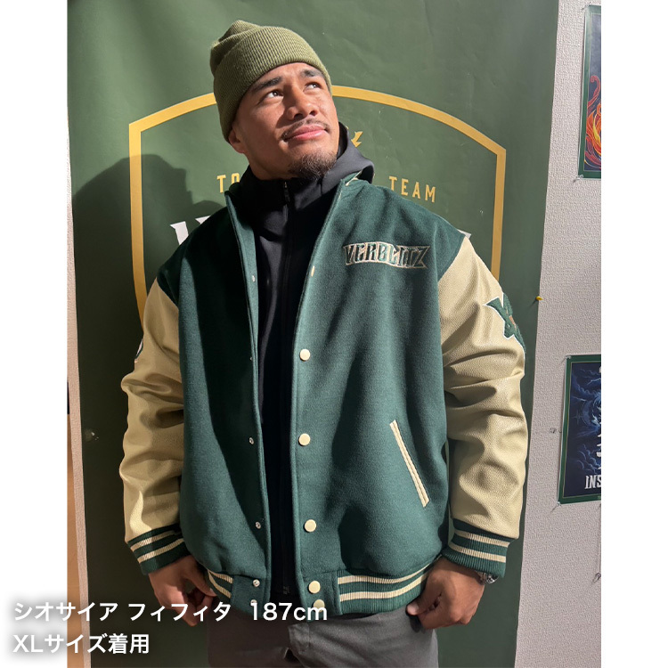 ヴェルブリッツスタジャン