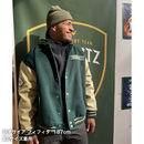 ヴェルブリッツスタジャン