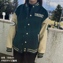 ヴェルブリッツスタジャン