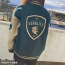 ヴェルブリッツスタジャン