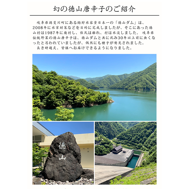 ヴェルブリッツ大葉七味唐辛子 雷緑(らいりょく)