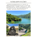 ヴェルブリッツ大葉七味唐辛子 雷緑(らいりょく)