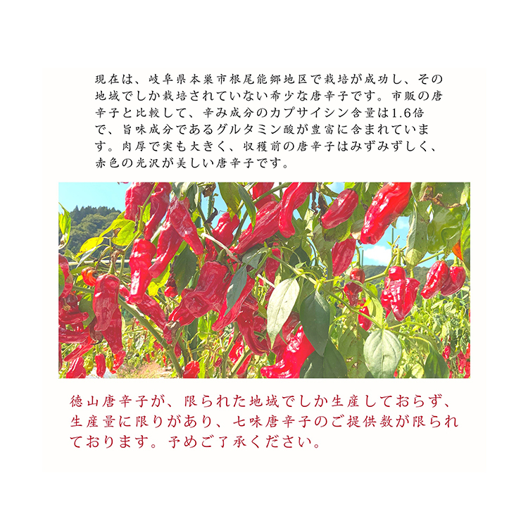 ヴェルブリッツ大葉七味唐辛子 雷緑(らいりょく)