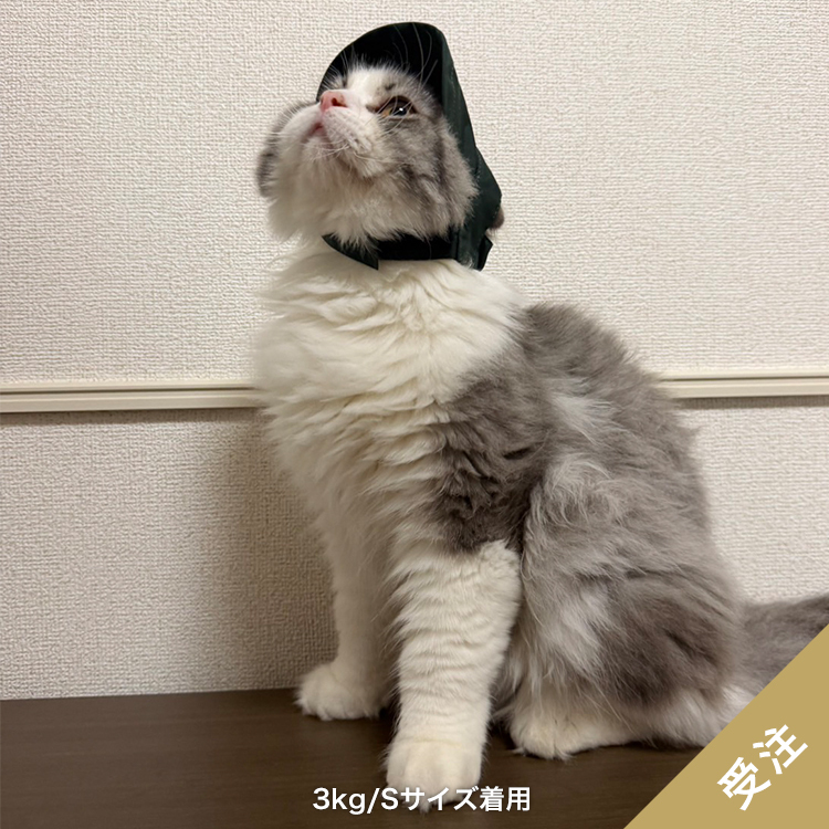 【受注】わんにゃん雷神キャップ
