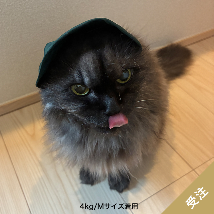 【受注】わんにゃん雷神キャップ