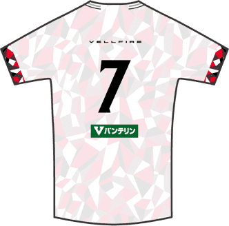 2025-26レプリカジャージ | 特集ページ | トヨタヴェルブリッツ