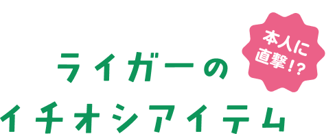 ライガーのイチオシアイテム