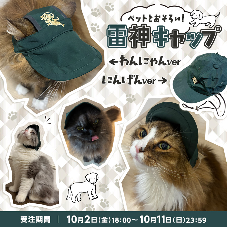 雷神キャップ